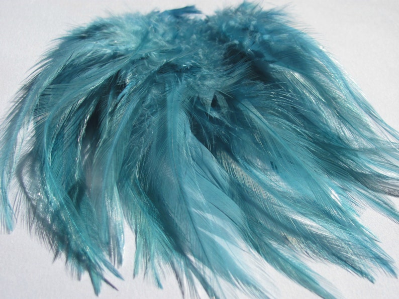 40 Strung Rooster Saddle Hackle Feathers Light Teal 5 8 inches image 1