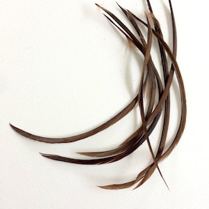 Six Stripped Goose Biots - Brown