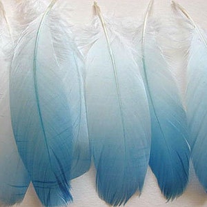 Six Goose Shoulder Feathers - Light Blue Ombre