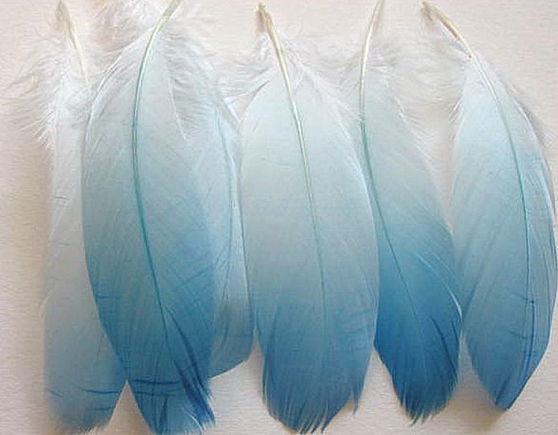 Six Goose Shoulder Feathers - Light Blue Ombre 