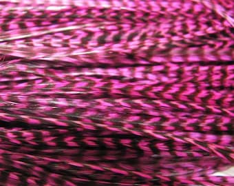 12 Grizzly Long Rooster Saddle Hackles - Pink  (8 - 10 inches)