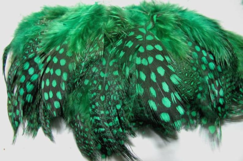 Strung Guinea Fowl Feathers Green image 1