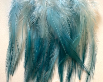 40  Loose Rooster Saddle Hackle Feathers - Teal Ombre (5 - 8 inches)