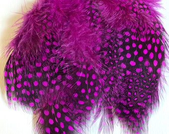 Guinea Fowl Feathers - Dyed Pink