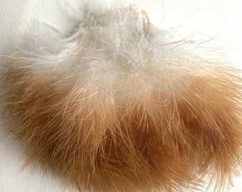 5 1/2” - 6” - Turkey Marabou Feathers - White with Brown Tip.