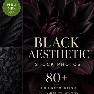 May include: A digital graphic featuring a dark dahlia flower, black feathers, and black lace. The text reads: PLR & MRR, BLACK AESTHETIC STOCK PHOTOS, 80+, HIGH-RESOLUTION, 3680 x 4600 px, 4:5 ratio. The design uses a dark colour palette with cream text.