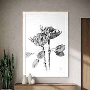 Op de afbeelding: Een ingelijste zwart-wit botanische kunstdruk met twee proteabloemen met gedetailleerde bloemblaadjes en bladeren op een witte achtergrond. Het kunstwerk bevat een kleine rode cirkelvormige stempel in de rechterbenedenhoek, gevat in een lichte houten lijst.