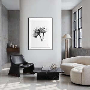 Puede incluir: Una impresión de arte mural enmarcada que presenta una ilustración botánica en blanco y negro de dos flores de protea. La obra se exhibe en un marco negro delgado con un paspartú blanco, destacando texturas florales detalladas.