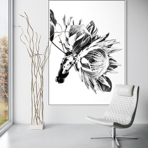 Puede incluir: Un gran cuadro rectangular de pared con una ilustración botánica en blanco y negro de alto contraste de dos flores de protea con pétalos y hojas texturizados, en un marco plateado fino sobre una pared blanca y una silla blanca.