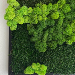 Puede incluir: Una obra de arte mural rectangular con musgo preservado en varios tonos de verde. El musgo está dispuesto en un marco negro, creando una exhibición texturizada y natural. La obra de arte ofrece una estética orgánica y visualmente atractiva.