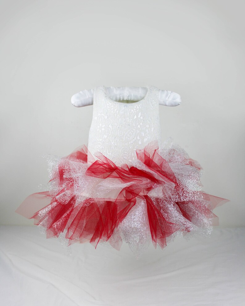 Red/Sliver Tutu Dress image 2