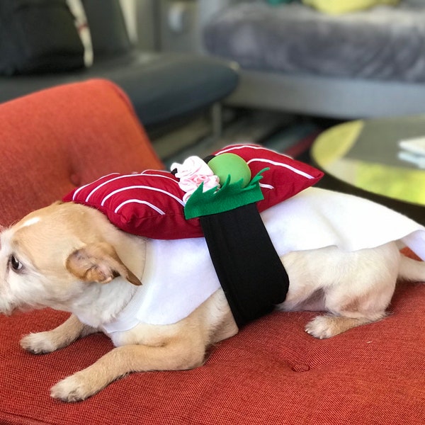 Baby Sushi Costume Etsy