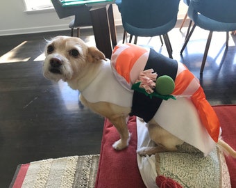 Shrimp Sushi Costume for Dog, Cat, Pets, Animals