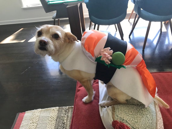 Costume De Sushi De Crevettes Pour Chien Chat Et Animaux Etsy Costume De Sushi De Crevettes Pour Chien Chat Et Animaux Etsy