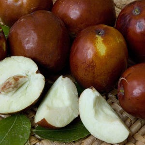May include: Close-up of several jujube fruits, some whole and others sliced open. The whole fruits are a deep reddish-brown with a smooth surface. Sliced jujubes reveal a white interior and a single seed. The fruits rest on a woven surface.