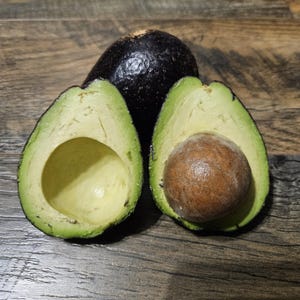 Genesis Avocado New Cultivar Scion Wood Cuttings For Grafting UNROOTED image 3