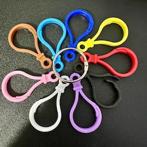 Op de afbeelding: Een verzameling van negen plastic karabijnsluitingen in diverse kleuren, waaronder blauw, geel, rood, zwart, paars, wit, roze en bruin, die allemaal aan een enkele zilverkleurige metalen ring in een cirkelvormig patroon zijn bevestigd.