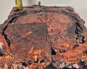 Table basse Centenary Olive Tree en résine époxy de qualité supérieure, encapsulée UV, pièce design 70 x 56 cm