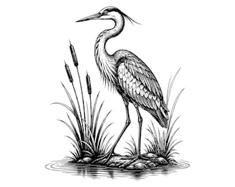 Garça-azul-grande em SVG, PNG e JPG: Ilustração de vida selvagem, Design vetorial costeiro, Cena de pântano, Arte da natureza, Download instantâneo