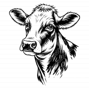 Puede incluir: Ilustración detallada en blanco y negro de la cabeza de una vaca, que muestra las características del animal. La obra de arte destaca los ojos, las orejas y el hocico de la vaca, con sombreado para enfatizar la forma. Representación gráfica de un animal de granja.