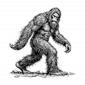 May include: A detailed black and white illustration of a Sasquatch, or Bigfoot, walking. The creature is covered in shaggy fur, with a muscular build and a stern expression. The background is plain, with a few leaves and rocks at the creature's feet.