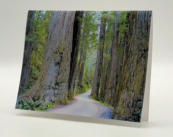 Anteckningskort med 6 stycken bland jättarna | Fotokort med natur och poesi