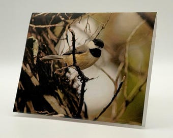 Anteckningskort "A Moment of Trust" med 6 st | Närbildsfotokort av naturen med poesi