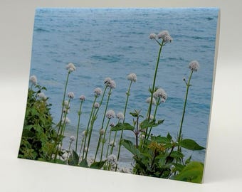 Där stillhet finner vägen Anteckningskort Set med 6 | Fotokort från kusten med poesi
