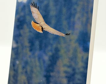 Anteckningskort "Hold by the Air" med 6 st | Närbildsfotokort av naturen med poesi