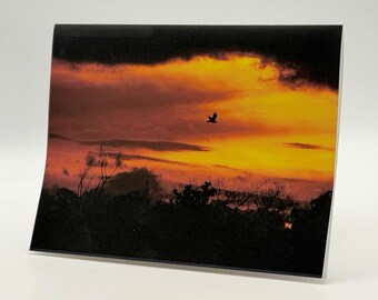 Ali attraverso la fiamma / Set di 6 / Set di biglietti d'auguri con poesie e foto del tramonto