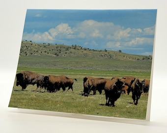 Rester av ett härligt förflutet Anteckningskort Set med 6 | Bison Fotokort med Poesi