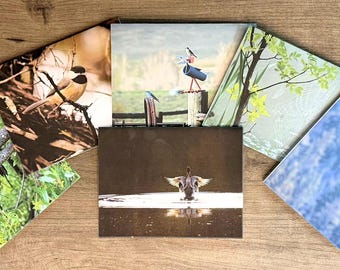 Intima naturkort, set med 6 | Närbildsfotokort med natur och poesi