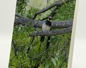 Lägg märke till oss-kort, set med 6 | Närbildsfotokort av naturen med poesi