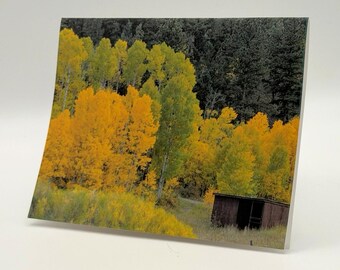 Ett tyst skydd-kort, set med 6 | Fotokort i höstskogen med poesi