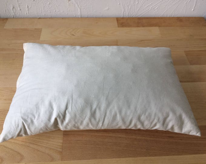 15"x11" REFILL pillow- coussin de REMPLACEMENT sans housse