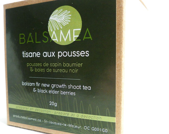 Balsam Fir new growth shoot and elderberry tea / Tisane aux pousses de sapin