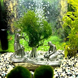 水槽用樹木STL – 苔ホルダー、バブルカーテン水槽装飾（デジタルダウンロード）