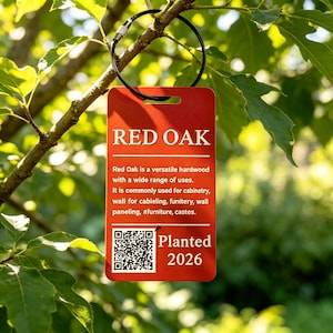 Könnte beinhalten: Ein rechteckiges rotes Schild mit einer schwarzen Drahtschlaufe, das den weißen Text RED OAK, eine Beschreibung des Hartholzes, einen QR-Code und den Text Planted 2026 enthält. Das Schild informiert über die Holzart und ihre Anwendungen.