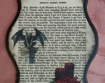 Wall Plaque Spooky Halloween Gothic Book - Dracula