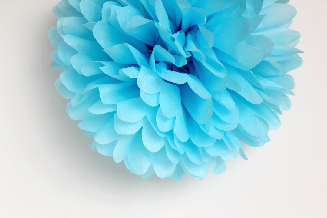 Light Blue Tissue Paper Pom Poms Wedding, Birthday, Bridal Shower, Baby