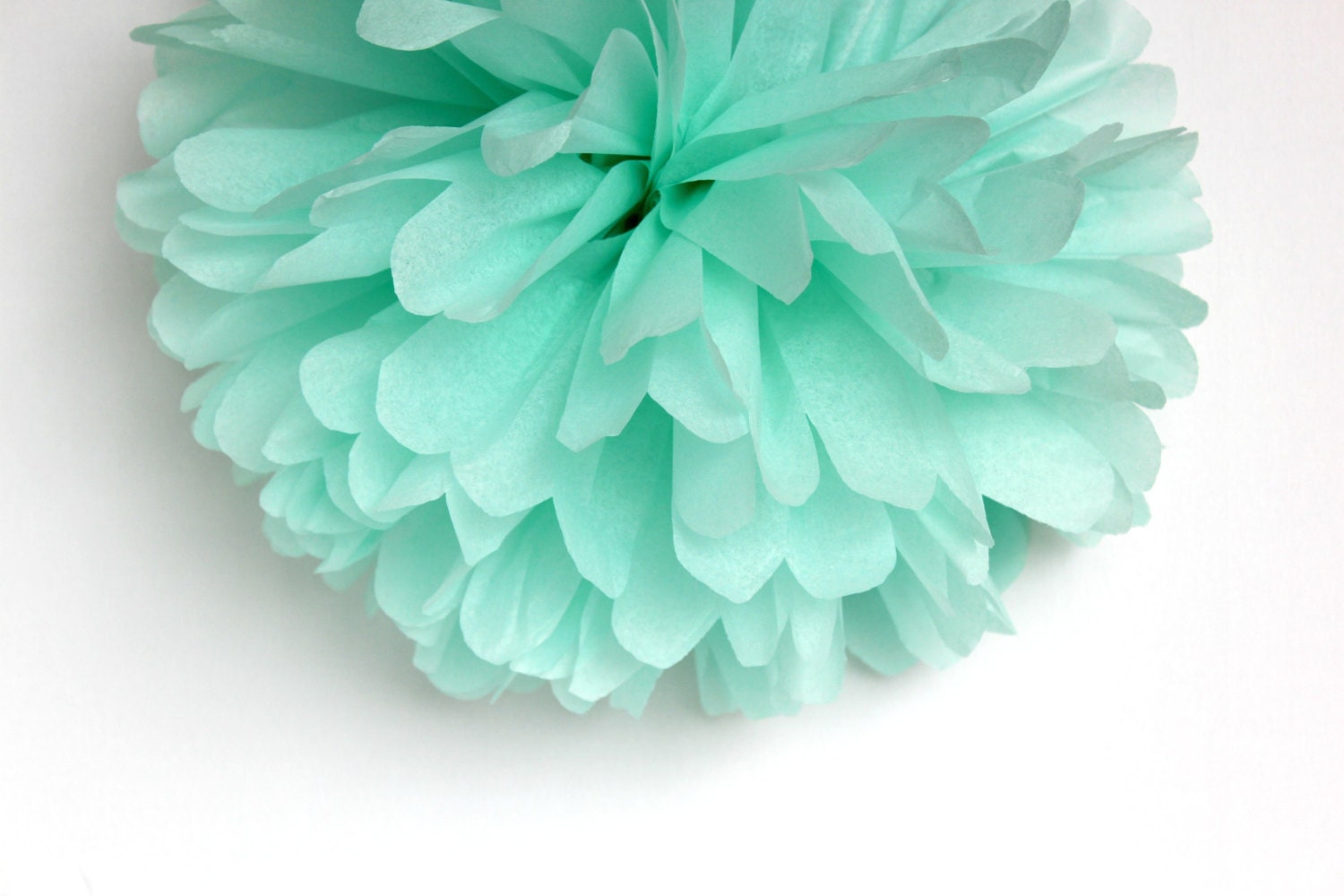 Forbigående brugervejledning selvbiografi Mint Green Tissue Paper Pom Poms Wedding Birthday Bridal | Etsy