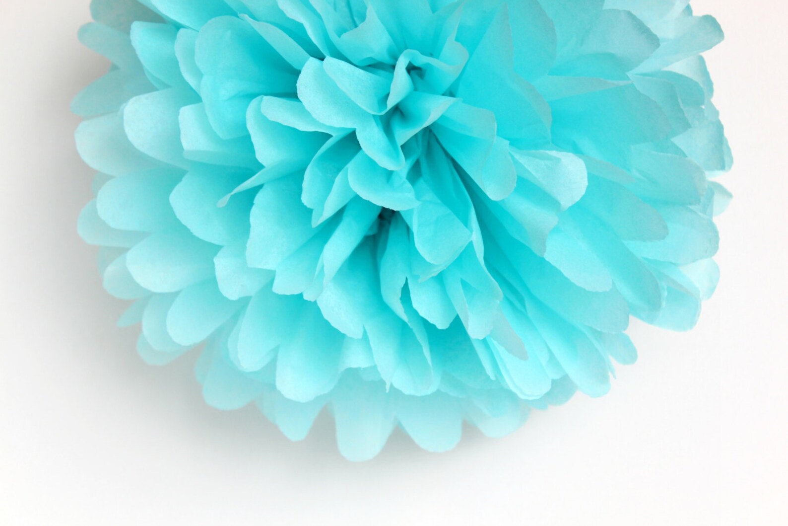 Aqua Tissue Paper Pom Poms Wedding Birthday Bridal Shower Etsy