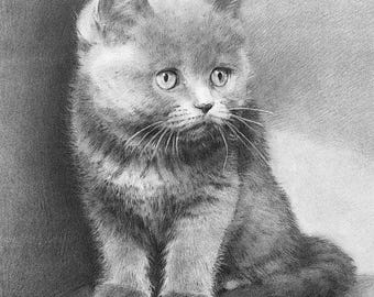 Custom Pet Portrait from Photo,Hand-Drawn Charcoal Drawing of Any Animal:Domestic,Wildlife,Exotic Species,Fish,Original Memorial Pet Gift