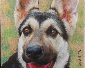 Custom Pet Portrait from Photo,Hand-Drawn Colored Pencil Drawing of Any Animal:Domestic,Wildlife,Exotic Species,Original Memorial Pet Gift