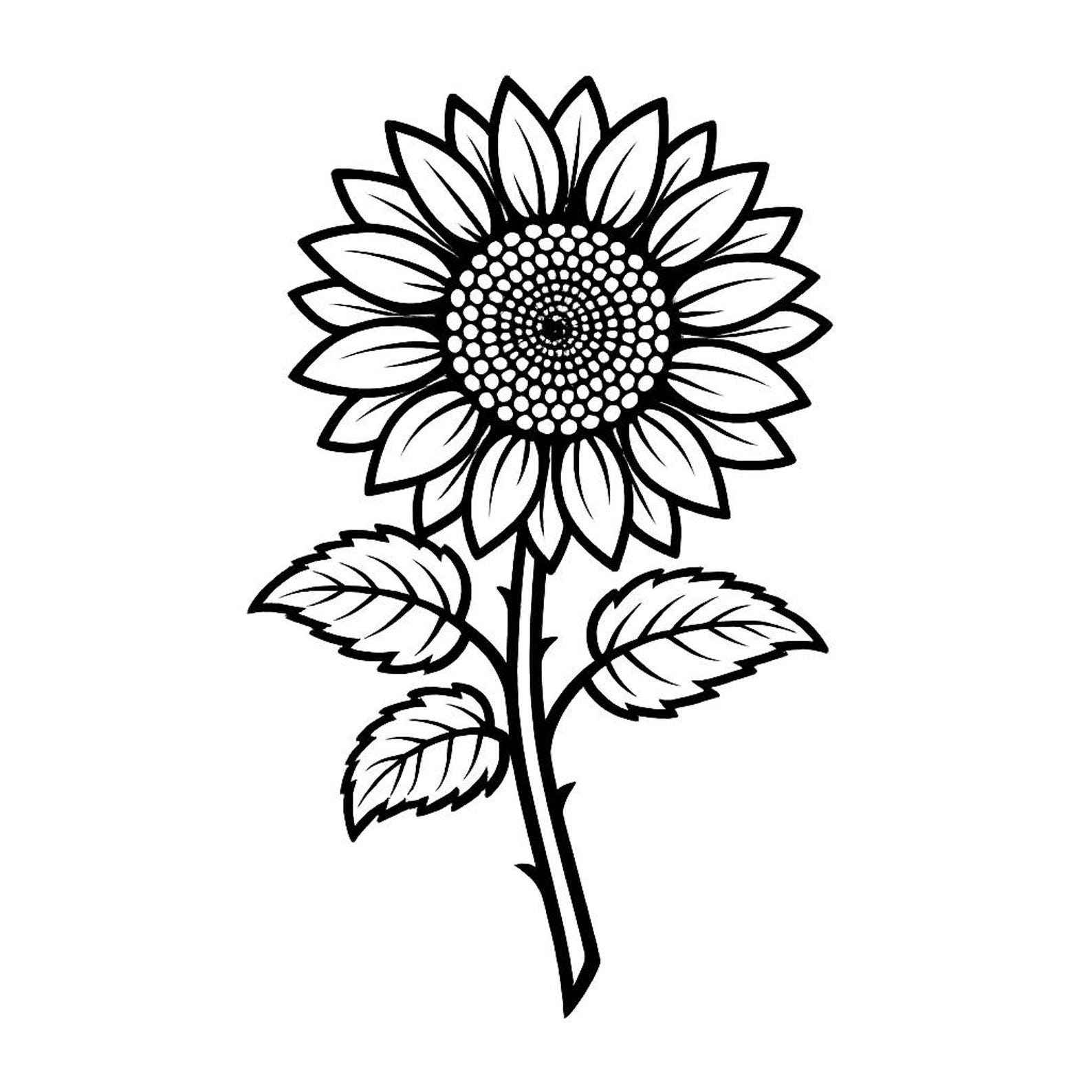 Sunflower SVG PNG Cut File, Cricut Design Digital - Etsy