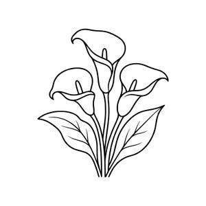 May include: A black and white line drawing of calla lilies. The image features three calla lilies with their characteristic trumpet-shaped blooms and long stems, along with several large, pointed leaves. The illustration is simple and elegant.