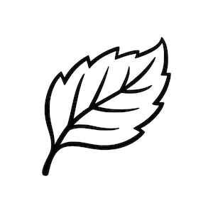 May include: A black and white illustration of a leaf. The leaf has a detailed outline with visible veins and a stem. The edges of the leaf are jagged, giving it a natural appearance. The image is simple and clean.