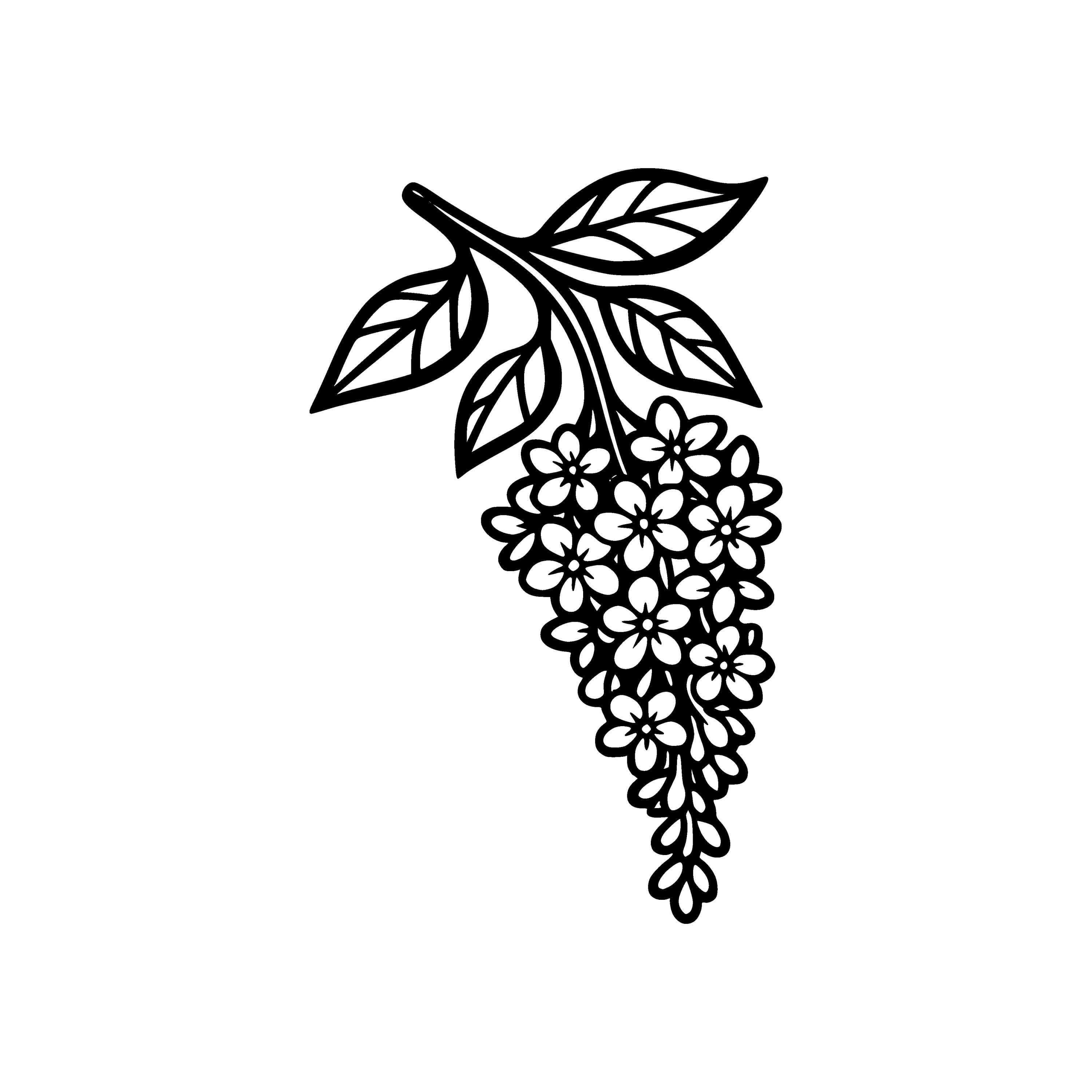 Wisteria Flower SVG PNG Cut File, Cricut Design Digital - Etsy