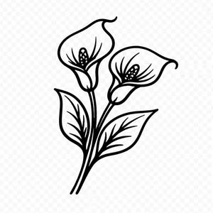May include: Black and white line art illustration of two calla lilies. The flowers have a trumpet shape with a central stamen detail. The stems and leaves are also depicted in black lines, creating a simple, elegant floral design.