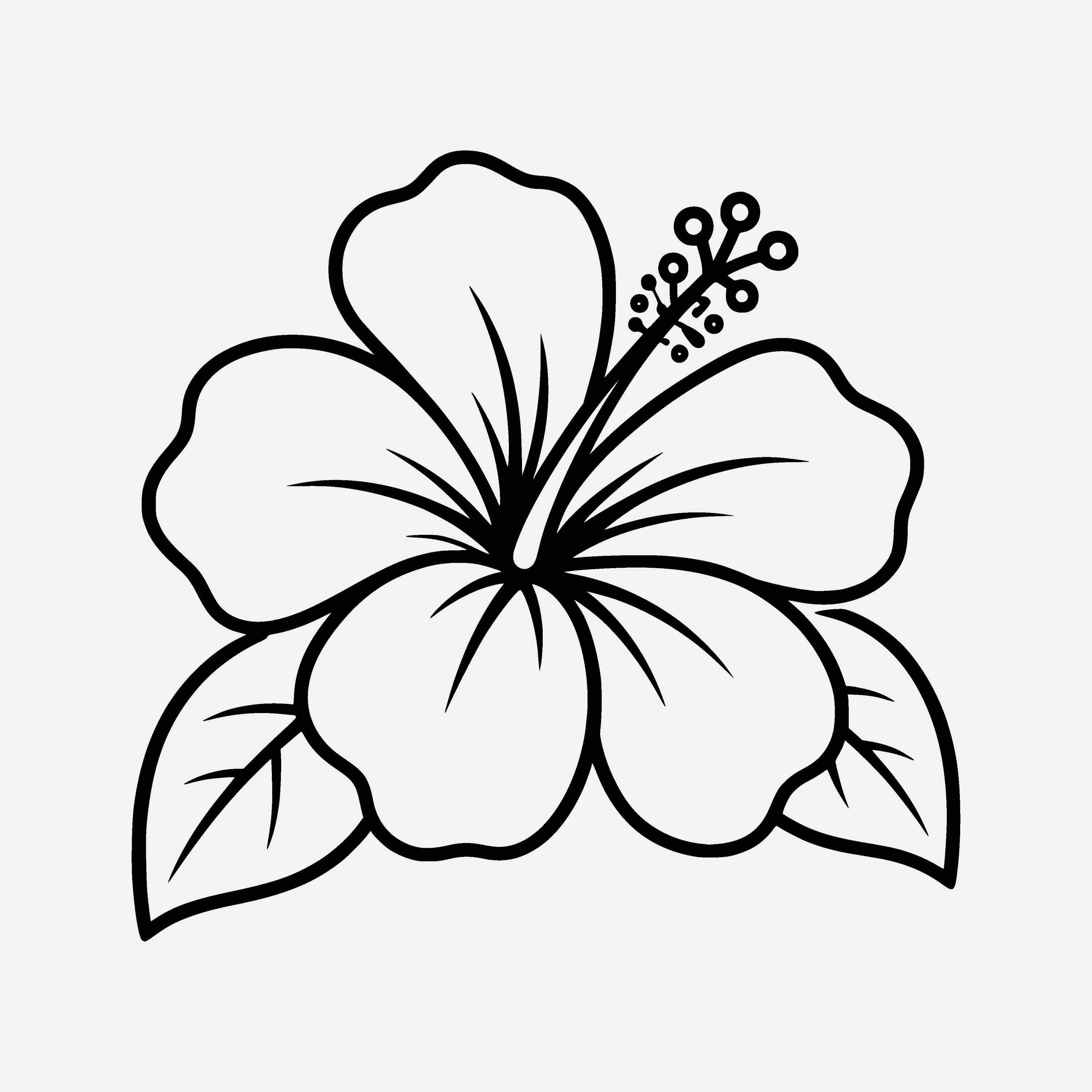 Hibiscus Flower SVG PNG Cut File, Cricut Design Digital - Etsy
